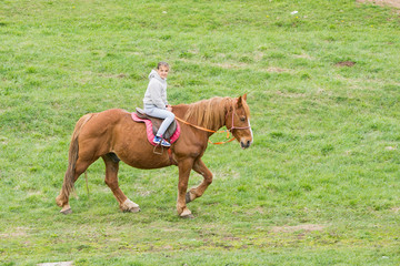 Beautiful little  girl riding horses on the green meadow
