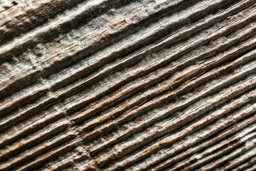 Old wooden texture, closeup