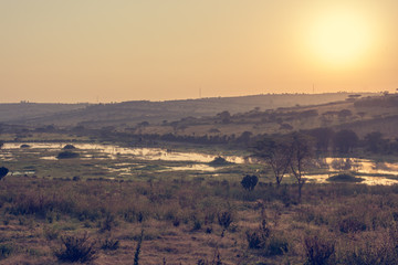 Spectacular savannah landscape of sun raising above marshes.