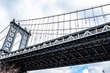 dumbo