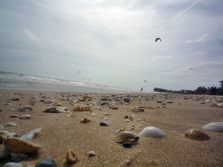 beach and sea