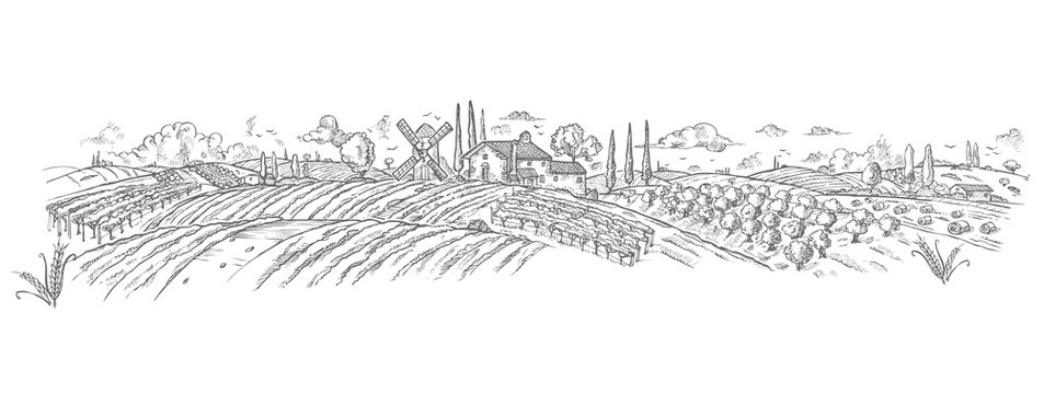 Fototapeta rural landscape Hand drawn with plant. Vector illustration