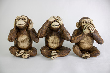 Three Wise Monkeys in a row, Hear no evil, See no evil, Speak no evil, brown monkeys on a white...