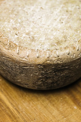 Traditional Auvergne cheese