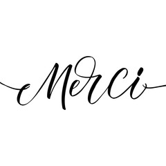 Merci - Thanks in French - calligraphic phrase.