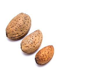 Almond isolated on white
