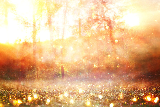 blurred abstract photo of light burst among trees and glitter golden bokeh lights.