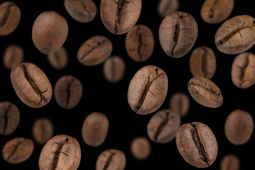 Naklejki  Spadające ziarna kawy