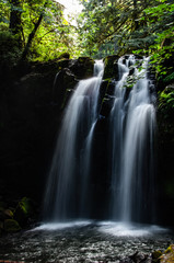 Obraz premium Waterfall Creek