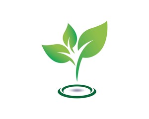 Logos of green leaf ecology nature element vector