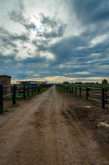 Fototapeta premium Country road with wiring fences and green fields in a sunny day with a blue sky
