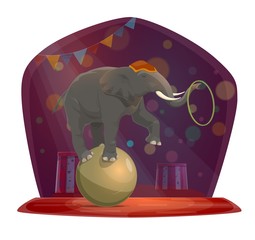 Circus, elephant on ball, chapiteau show