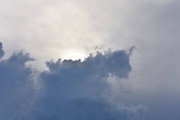 doberman at peace in clouds