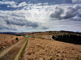 Fototapeta premium road in the Carpathian Mountains