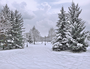 Snowfall in the city park - beautiful urban winter landscape