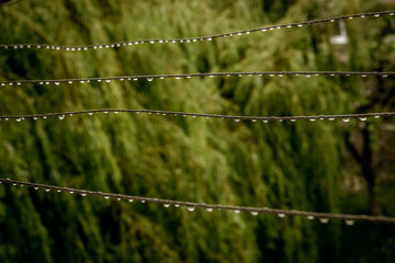 Wire with droplets after rain on a green background