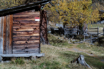 old house in the alpine forest