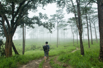 Obraz premium The man walking on path in green meadow, At 