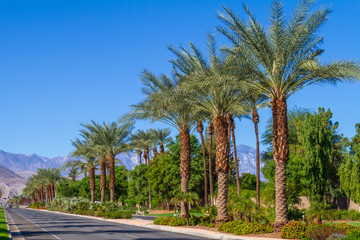 Highway 111 in Indian Wells, California in the desert of the Coachella Valley. - obrazy, fototapety, plakaty