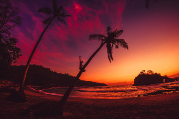 Happy traveler man on coconut palm and bright sunset or sunrise at tropical beach with ocean