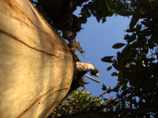 barbacena minas gerais brasil