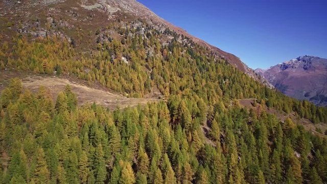 Lac Bleu (Blue Lake) in yellow larch forest