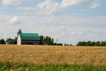 Barn & Field