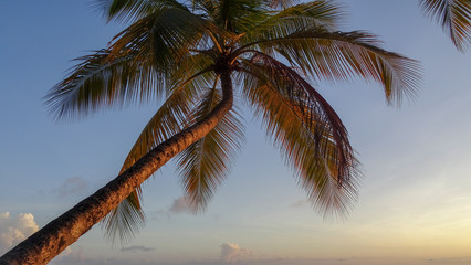 Fototapeta premium Martinique is a nice caribbean island
