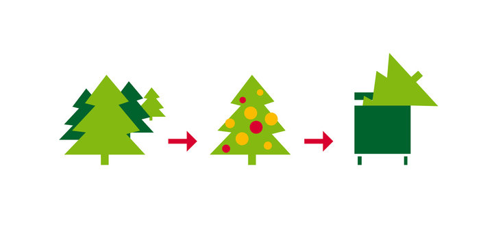 Christmas tree life cycle flat color vector illustration