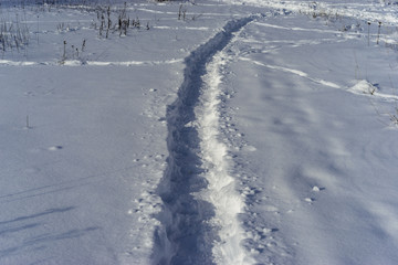 Obraz premium tracks in snow