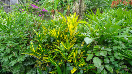 Martinique is a nice caribbean island