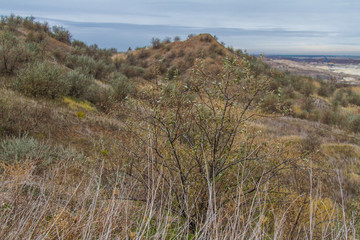 Autumn Tavrian steppe