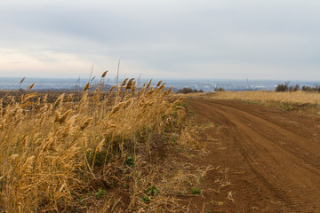Autumn Tavrian steppe