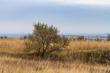 Autumn Tavrian steppe