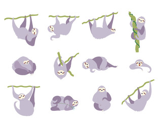 Vector illustration set of cute character sloth © pikovit