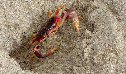 Martinique is a nice caribbean island