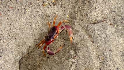 Martinique is a nice caribbean island