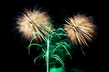 Feuerwerk in Golßen