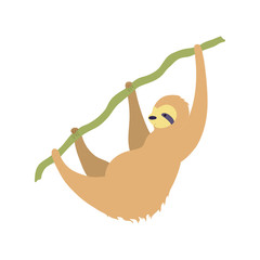 Vector illustration of cute character sloth