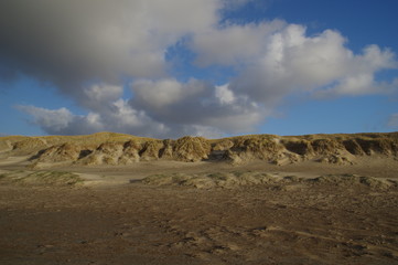 Dünenlandschaft an der dänischen Nordsee