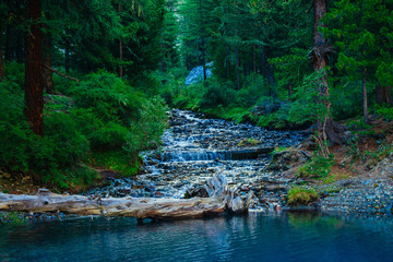 Fototapeta na wymiar Mountain creek flows into lake in dark time. Rich vegetation of mountains. Huge boulder near brook in forest. Fallen tree trunk in water. Atmospheric beautiful landscape. Amazing nature of highlands.