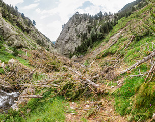 Mountain landslide consequences, disaster concept