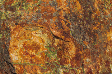 Plane of multicolored boulder. Beautiful rock surface close up. Colorful textured stone. Amazing detailed background of highlands boulder with mosses and lichens. Natural texture of mountain stone.
