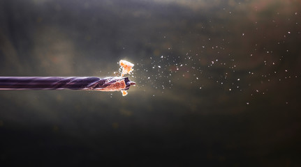 Fototapete bei efototapeten.de bestellen   