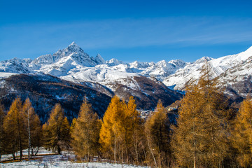 L'oro del Monviso