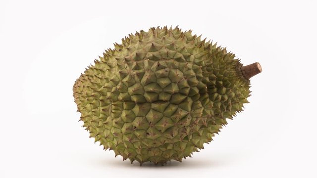 One whole durian fruit rotating on the turntable. Isolated on the white background. Close-up. Macro.