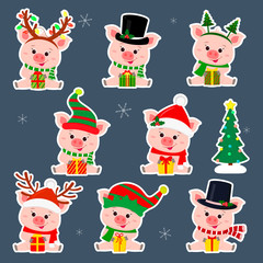Set of eight stickers of cute pigs in different hats and Santa Claus scarf in white stroke. They sit and hold a box with a gift. Christmas tree. The symbol of the Chinese New Year. Vector