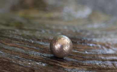 Perle 