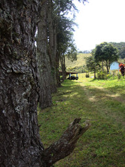 barbacena minas gerais brasil