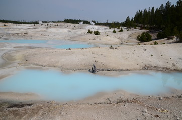 NORRIS GEYSER BASIN YELLOWSTONE NATIONAL PARK (WYOMING) USA